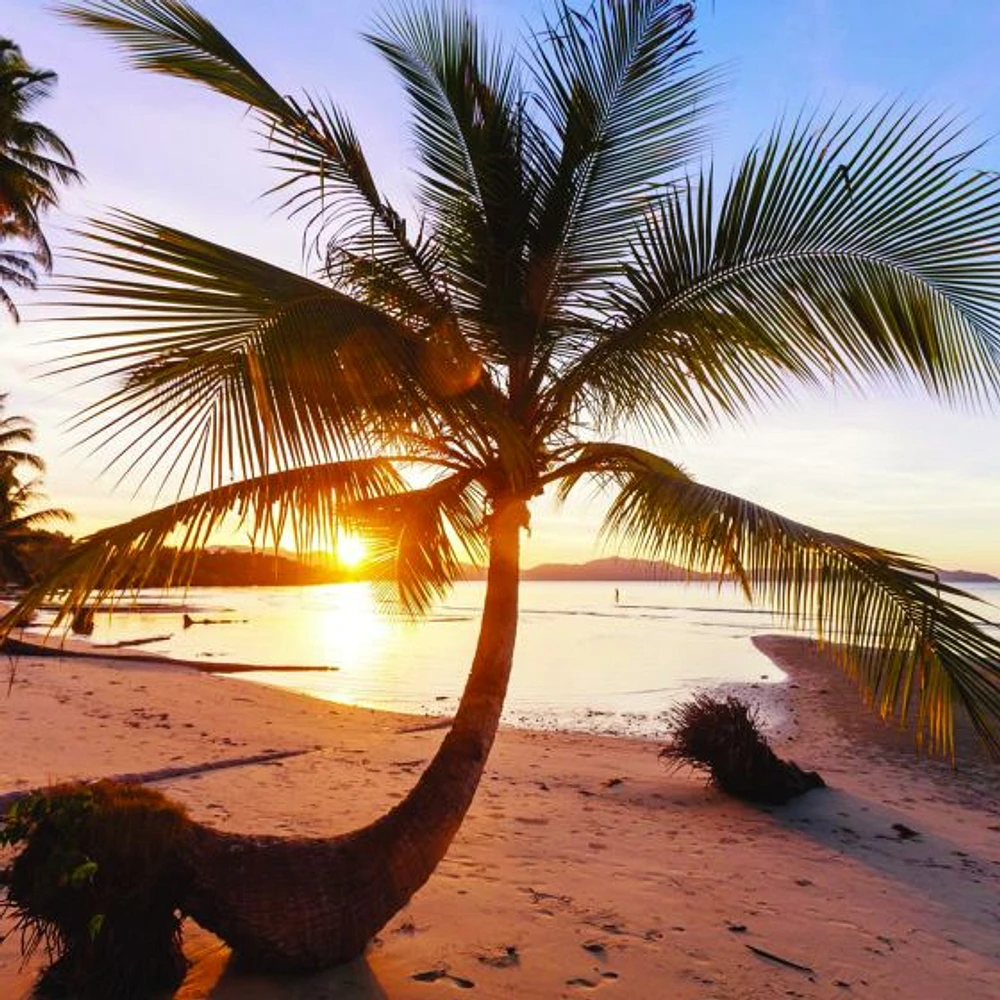 Tropical Beach Sunrise Wallpaper Mural