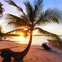 Tropical Beach Sunrise Wallpaper Mural