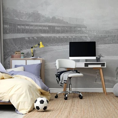 Vintage 1894 Baseball Match Wallpaper Mural