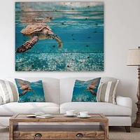 Large Hawksbill Sea Turtle Wood Wall Art