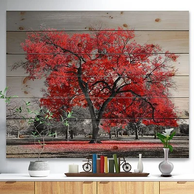 Big Red Tree on Foggy Day Wood Wall Art