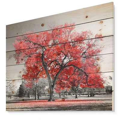 Big Red Tree on Foggy Day Wood Wall Art