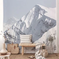 White Mountain Close Up Wallpaper Mural