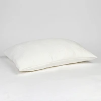 HealthGuard Hotel Comfort Tencel Pillow