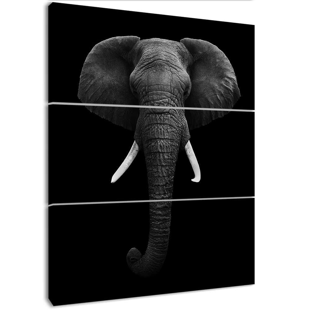 African Elephant Canvas Wall Art Panels