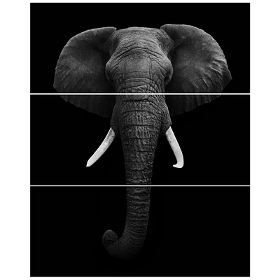 African Elephant Canvas Wall Art Panels