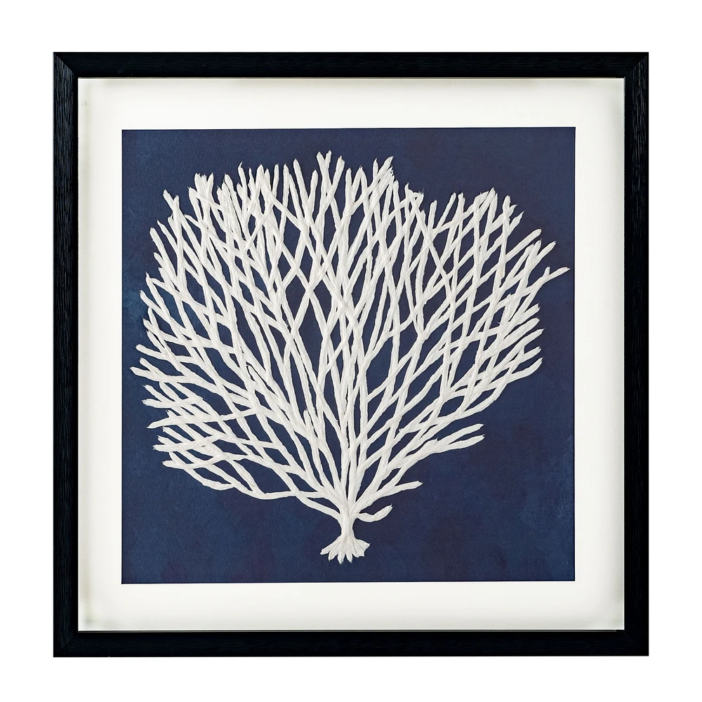 Sea Fan I Shadow Box