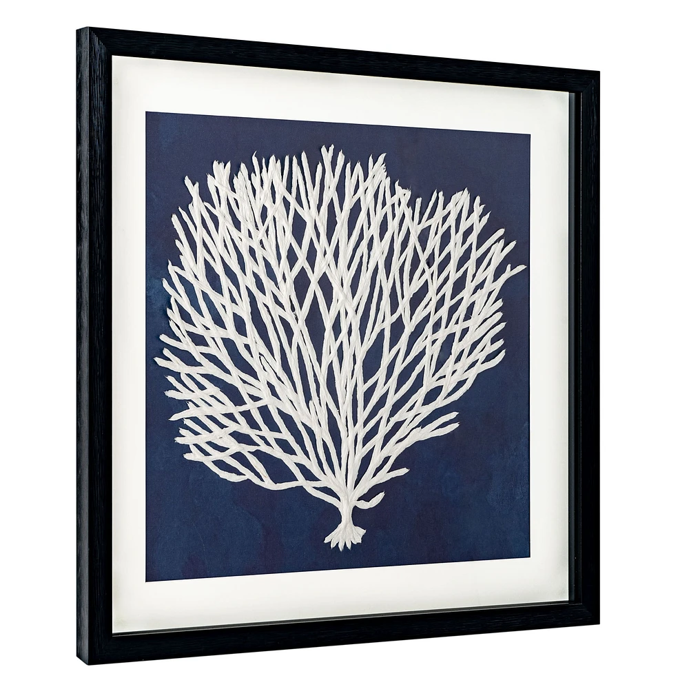 Sea Fan I Shadow Box