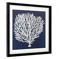 Sea Fan I Shadow Box