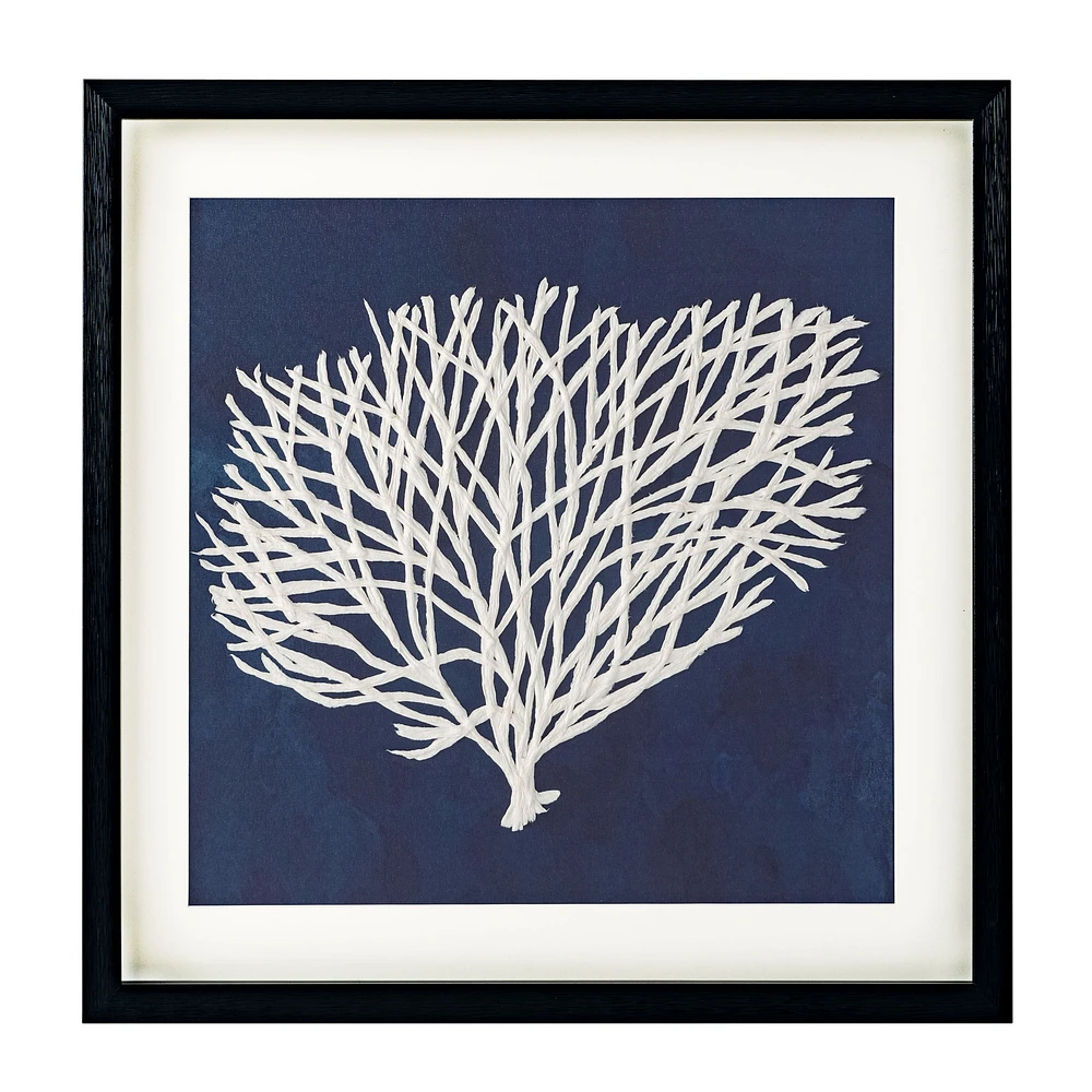 Sea Fan II Shadow Box