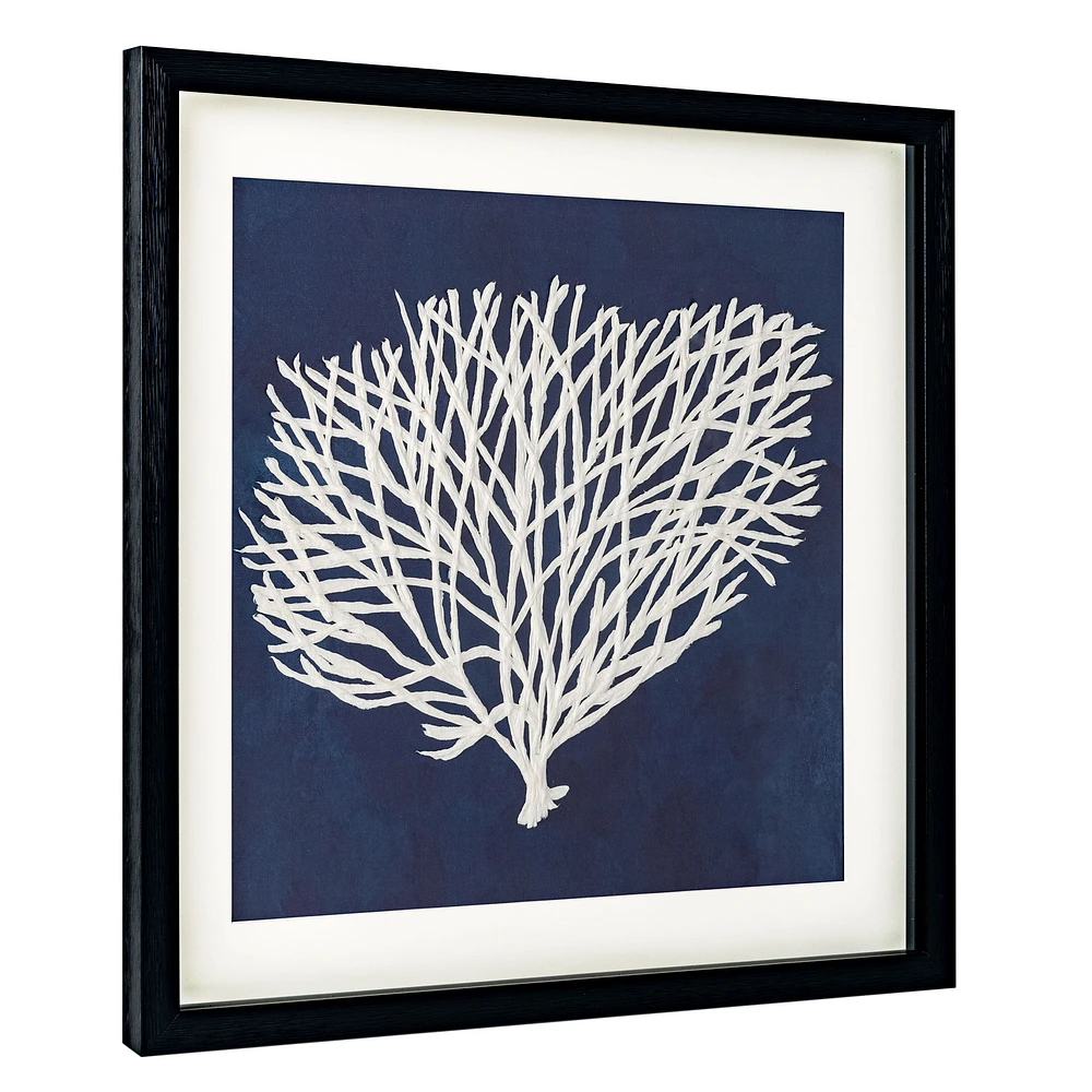 Sea Fan II Shadow Box