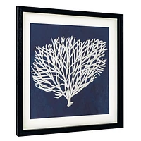 Sea Fan II Shadow Box