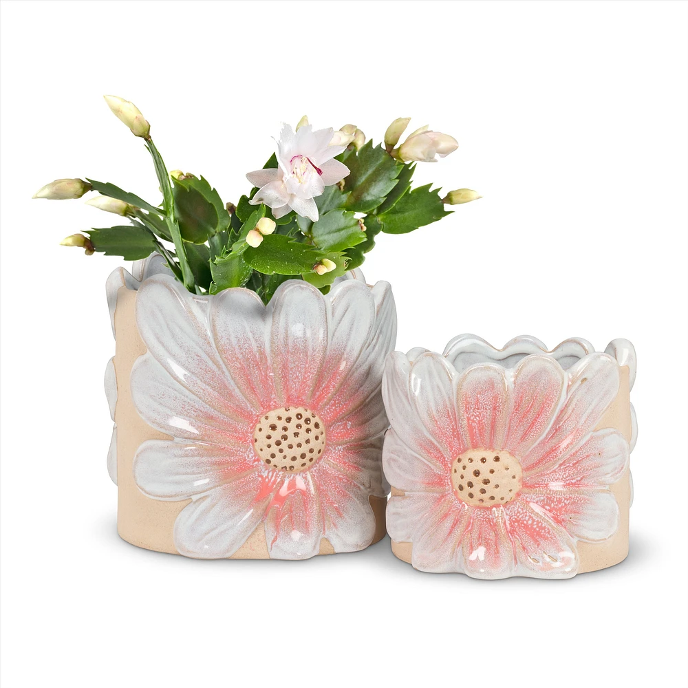 Sm Pink Daisy Planter 4"H