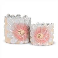 Lg Pink Daisy Planter 6"H