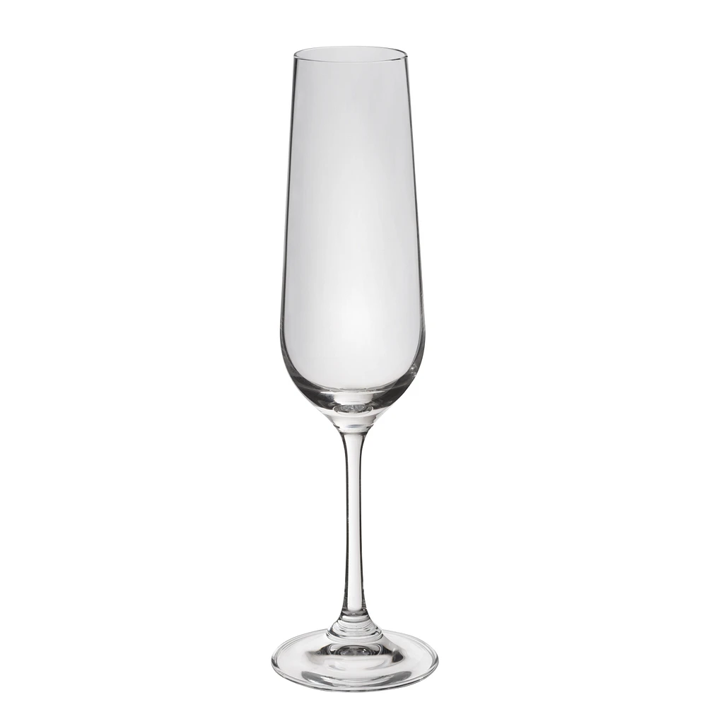 Splendido Set of 4 Champagne Glasses