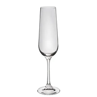 Splendido Set of 4 Champagne Glasses