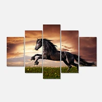 Black Friesian Horse Gallop  Canvas Wall Art