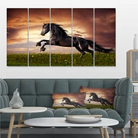 Black Friesian Horse Gallop  Canvas Wall Art