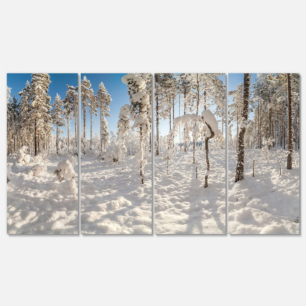 Winter Snow Covered Wood  Canvas Wall Art