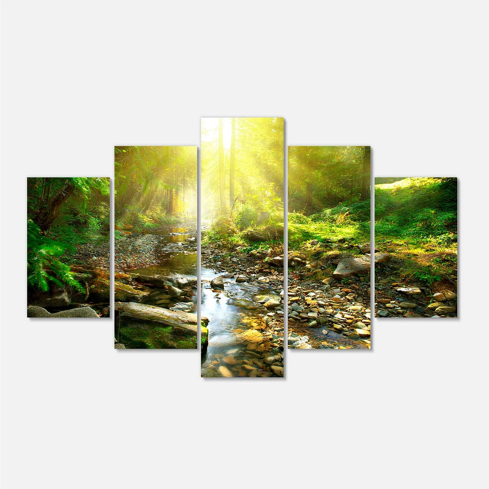 Mountain Stream Forest  Canvas Wall Art