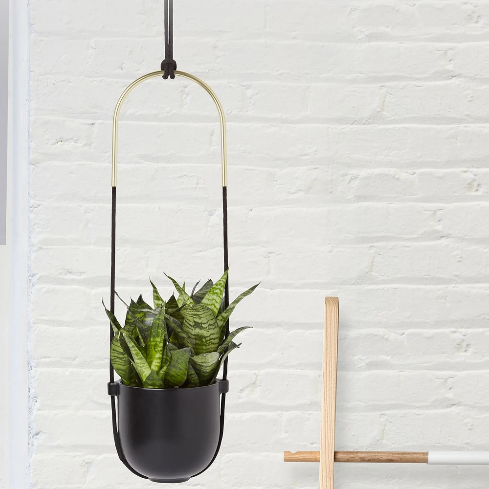 Bolo Planter - Black