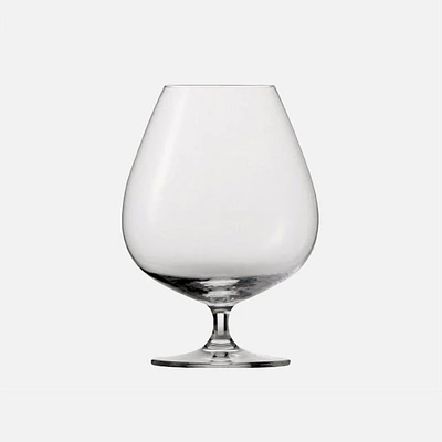 Ensemble de 6 très grands verres à cognac en cristal Tritan « Bar Special » par Schott Zwiesel - 29 oz