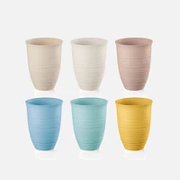 Set of 6 Assorted Tierra Tall Tumblers