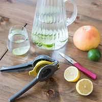 Ricardo 2 in 1 Citrus Juicer