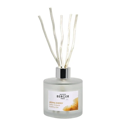 Aroma Happy Energy Scented Bouquet by Maison Berger Paris