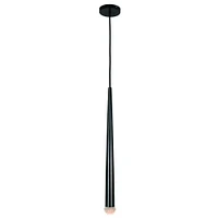 Luminaire suspendu noir avec ampoule DEL