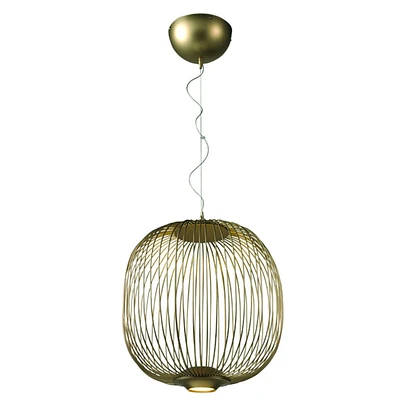 Dome LED Cage Pendant Light