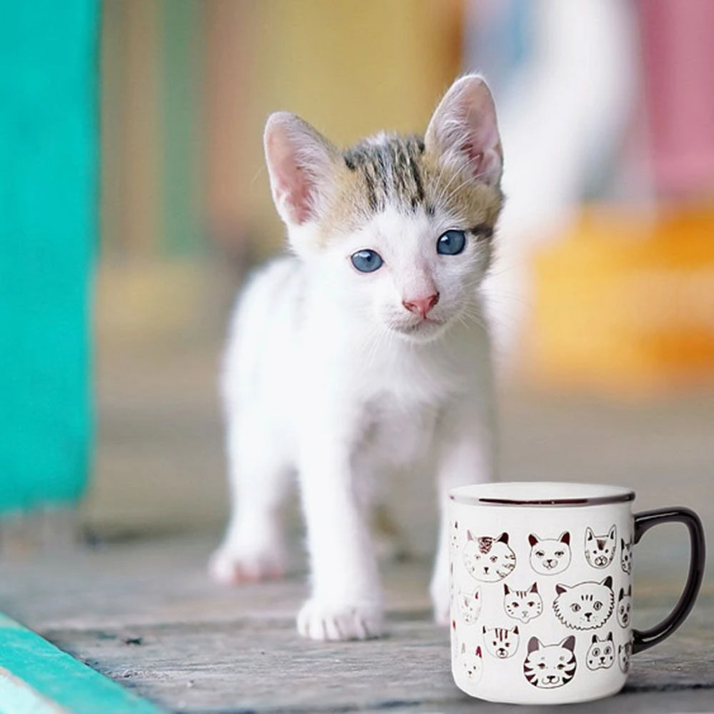 Tasse « Simple Cat Faces »