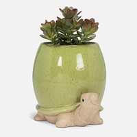 Green Turtle Planter