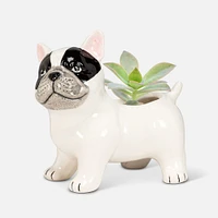 Boston Terrier Planter