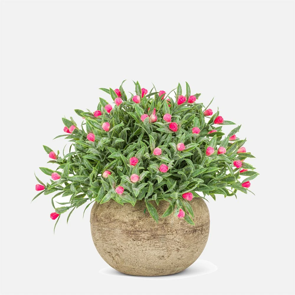 Flowering Plant Pot