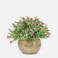 Flowering Plant Pot