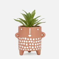 Assorted Plant in Textured Dotted Pot