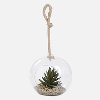 Assorted Succulent Terrarium Ball