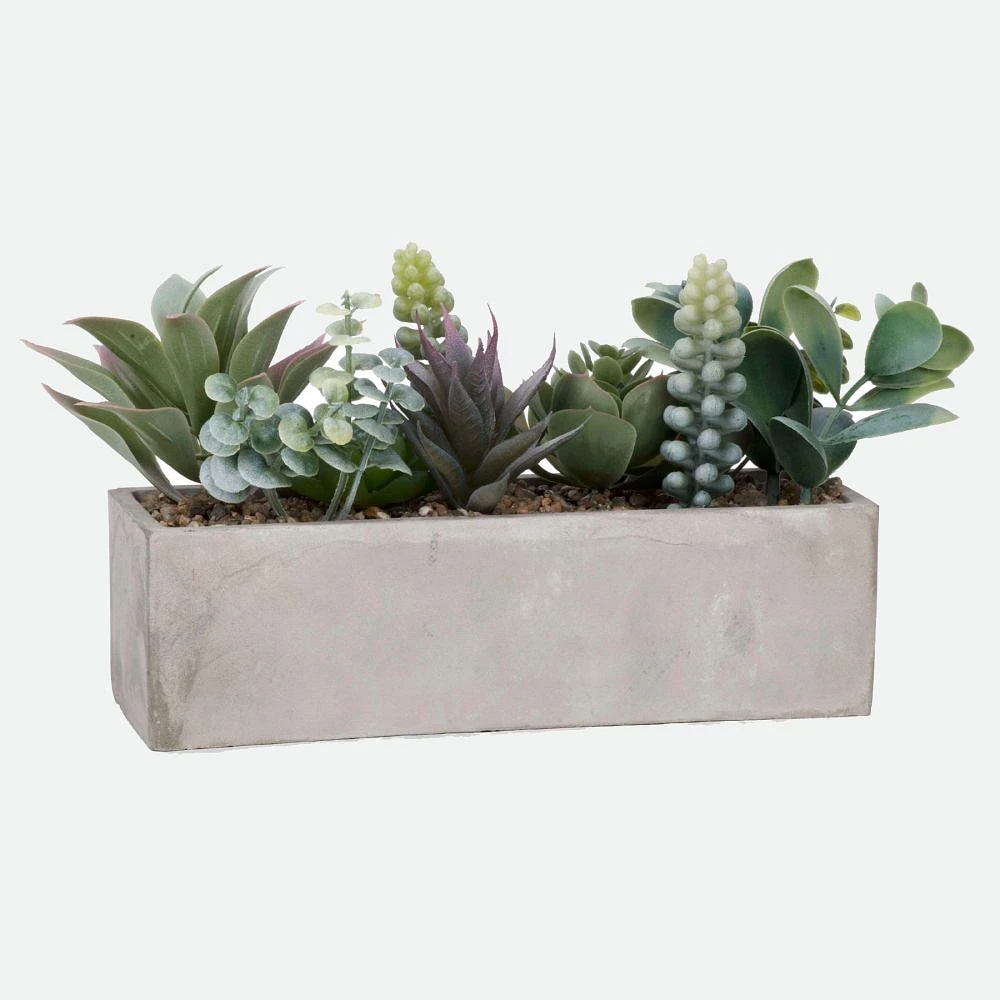 Succulent Arrangement in Grey Pot