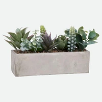 Succulent Arrangement in Grey Pot