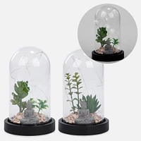 Buddha Terrarium LED Light