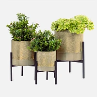 Aspen Planters, Set of 3 - Gold