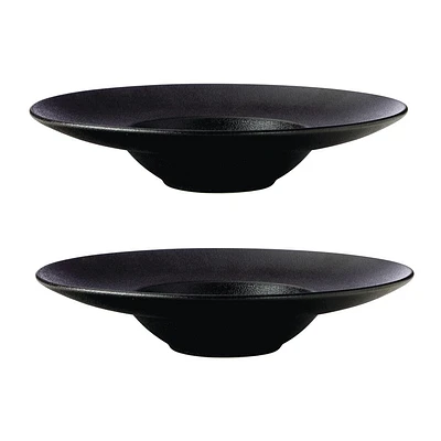 Ensemble de 2 assiettes de présentation « Caviar » par Maxwell & Williams (28 cm)