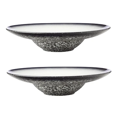 Set of 2 Granite Show Plates by Maxwell & Williams (28 cm)