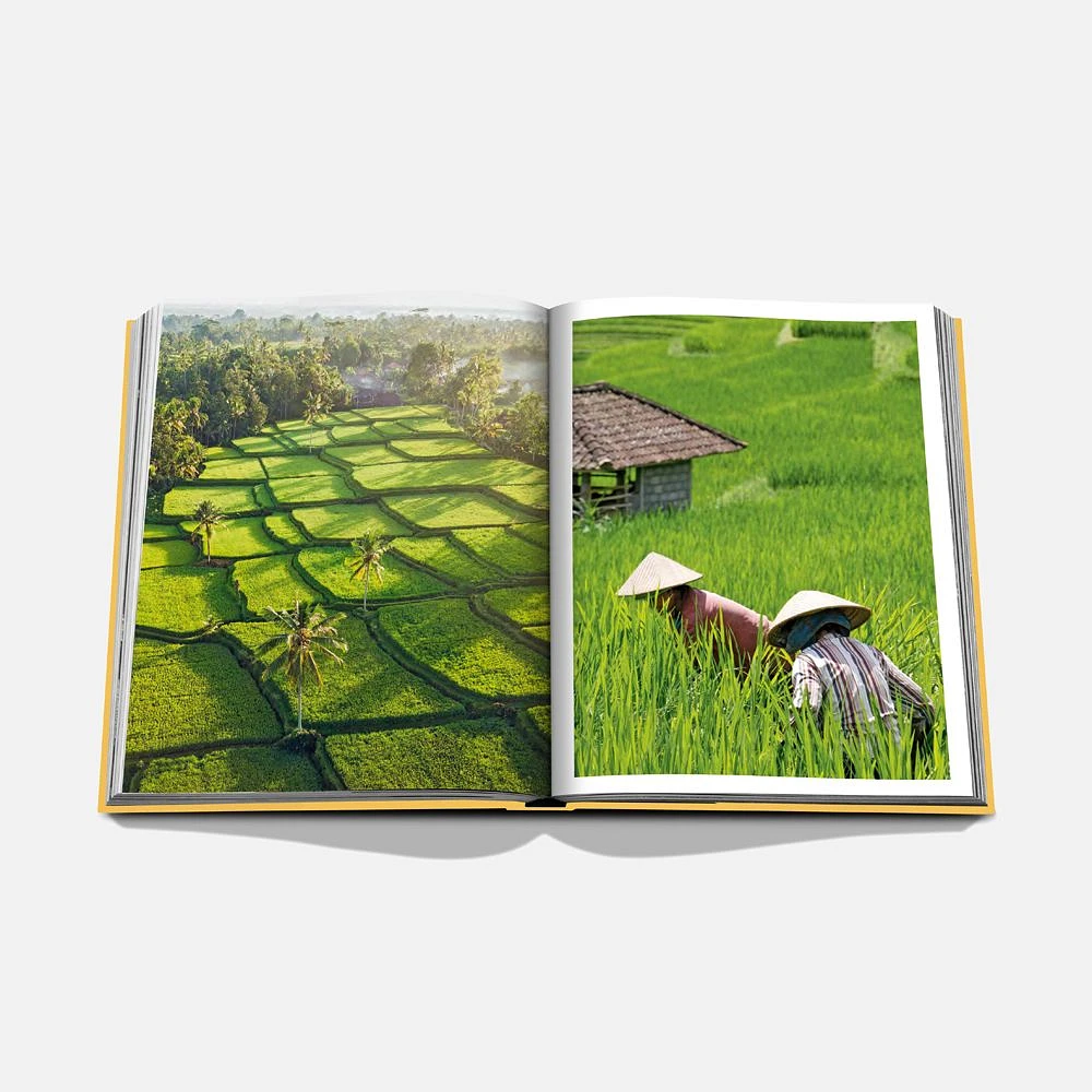 Beau livre de photographies décoratif par Assouline - « Bali Mystique »