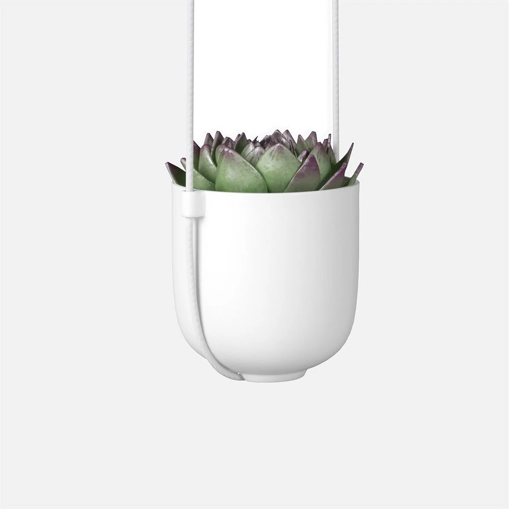 Bolo Planter White