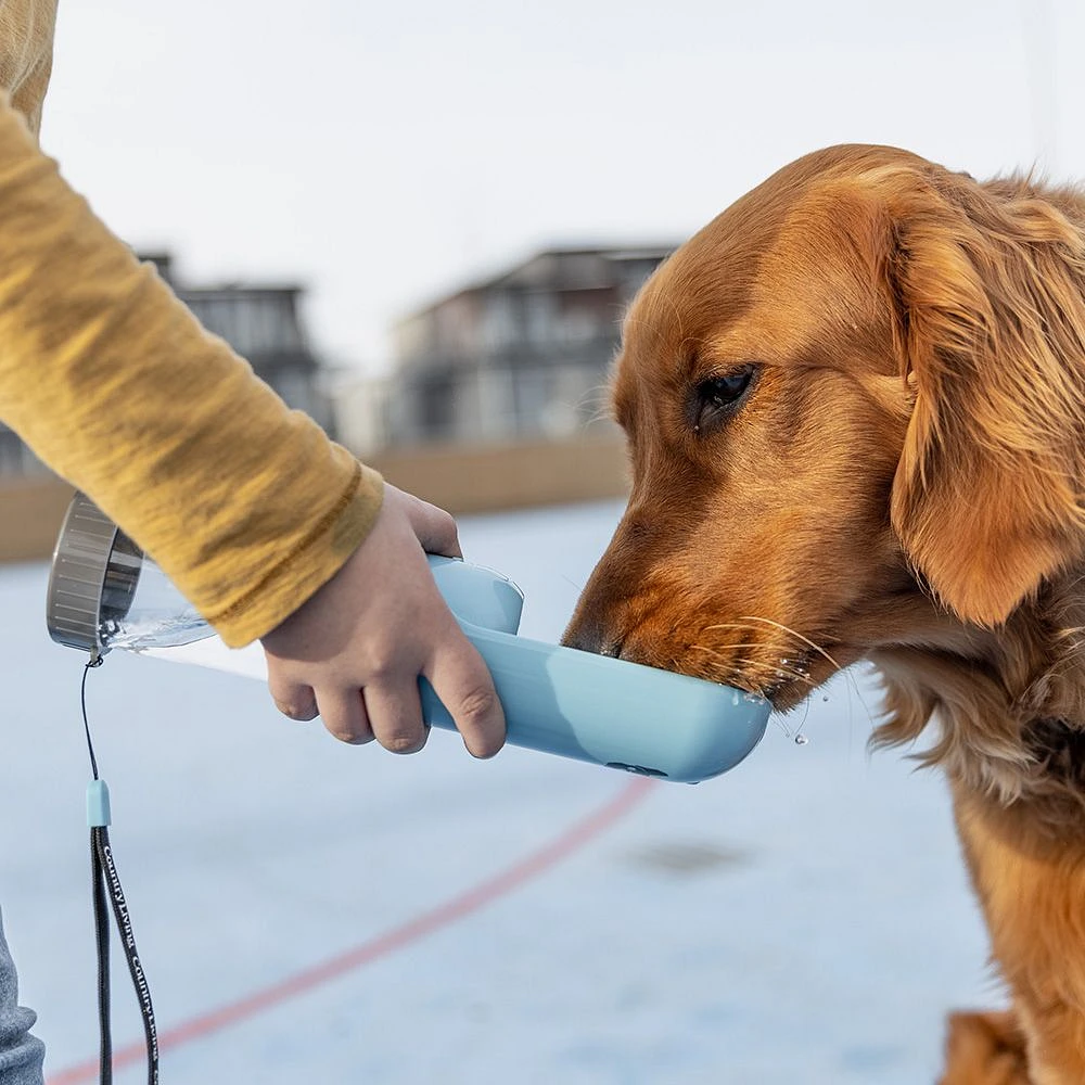 Ensemble bien-être pour chiens par SilverPaw