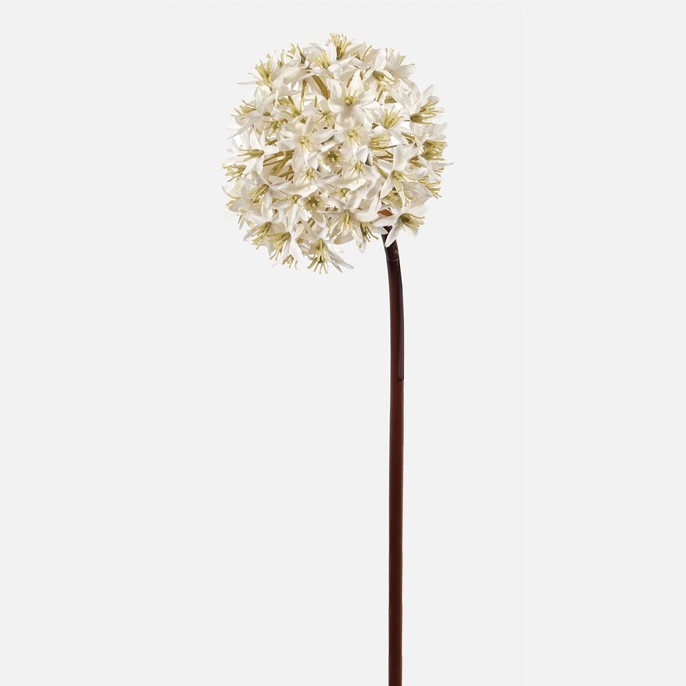 Ivory Allium Flower Spray