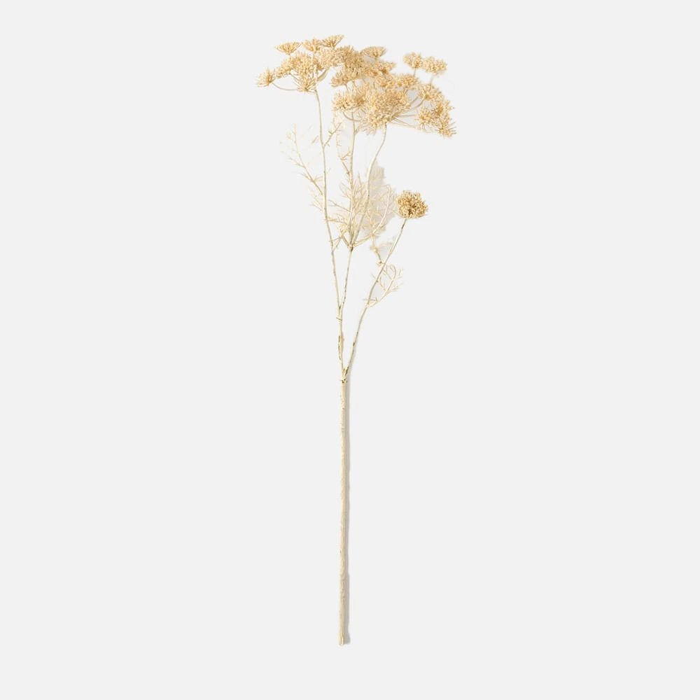 Queen Anne's Lace Branch Spray