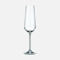 Gusto Set of 6 Champagne Flutes by Crystal Bohemia